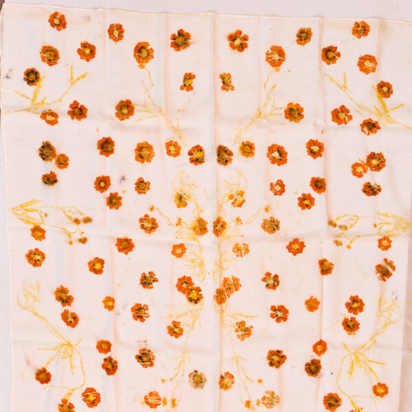 square silk scarf spread out to show symmetrical pattern of orange coreopsis flowers with stems on white background. earthy tones made with natural dye technique